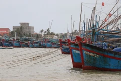 Tàu thuyền neo đậu tránh bão. (Ảnh minh họa. Nguồn: TTXVN)