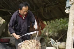 Nghệ nhân người Mông tỉnh Điện Biên thực hành nghề rèn. (Ảnh: Xuân Tư/TTXVN)