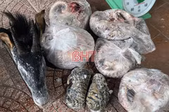 Tang vật thu giữ của Trần Anh Tuấn. (Nguồn: Báo Hà Tĩnh)
