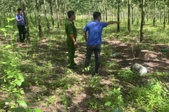 Hiện trường vụ án. (Ảnh: TTXVN phát)