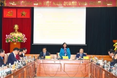 Bà Bùi Thị Minh Hoài, Bí thư Trung ương Đảng, Trưởng Ban Dận vận Trung ương chủ trì Hội thảo. (Ảnh: Phương Hoa/TTXVN)