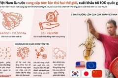 Việt Nam cung cấp tôm lớn thứ hai thế giới.