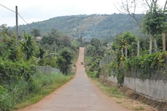 Những tuyến đường bêtông hóa làm thay đổi diện mạo vùng có đạo Tin lành tại buôn ADrơng Prong, xã Cư Pơng, huyện Krông Búk, tỉnh Đắk Lắk. (Ảnh: Tuấn Anh/TTXVN)