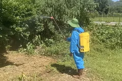 Cán bộ thú y phun tiêu độc khử trùng môi trường, khu vực chăn nuôi có nguy cơ bùng phát dịch tả lợn châu Phi. (Ảnh: TTXVN phát)