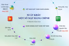 Thương mại song phương Việt Nam-Saudi Arabia.