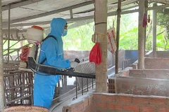 Phun thuốc khử trùng chuồng trại. (Ảnh: TTXVN phát)
