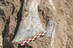 Lần đầu tiên các hoạt động thăm dò và khoan được tiến hành trong làng Ahaq. (Nguồn: Press TV)