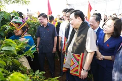 Chủ tịch Quốc hội Vương Đình Huệ chứng kiến cuộc thi hái càphê tại Hội thi Nhà nông đua tài. (Ảnh: Doãn Tấn/TTXVN)