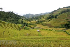 Danh thắng Quốc gia Ruộng bậc thang Mù Cang Chải. (Ảnh: Nhật Anh/TTXVN)