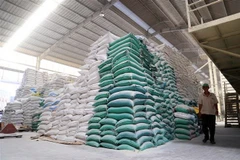 Kho gạo của một công ty. (Ảnh: Hồng Đạt/TTXVN)