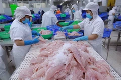 Dây chuyền chế biến cá tra xuất khẩu. (Ảnh: Vũ Sinh/TTXVN)