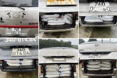 Phương tiện cùng tang vật bị thu giữ. (Nguồn: Báo Quảng Trị)