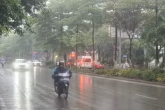 Ảnh minh họa. (Nguồn: Vietnam+)