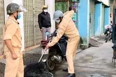 Đội xử lý chó thả rông và động vật mắc bệnh dại, nghi dại trên địa bàn. (Ảnh: Hồng Điệp/TTXVN)