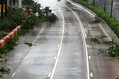 Cành cây gẫy la liệt trên đường Glouceste, Hong Kong. (Ảnh: Xuân Tuấn/Vietnam+)