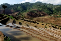 Hình ảnh miền núi tỉnh Lai Châu nhộn nhịp vào mùa nước đổ