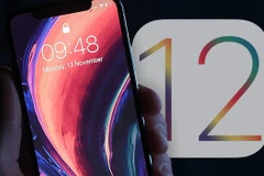 (Nguồn: Daily Express)