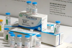 Sản phẩm vắcxin phòng cúm mùa do Việt Nam sản xuất. (Ảnh: TTXVN/Vietnam+)