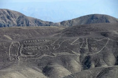 Một hình vẽ khổng lồ ở Palpa, Peru. (Nguồn: livescience.com)