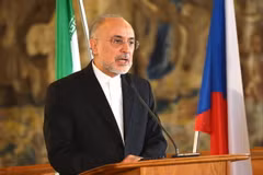 Người đứng đầu Cơ quan Năng lượng Nguyên tử Iran (AEOI), ông Ali Akbar Salehi. (Nguồn: AFP/TTXVN)