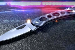 Ảnh minh họa. (Nguồn: The Western Journal)