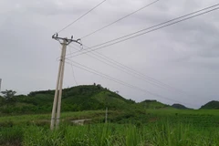 Vụ điện giật làm 7 người thương vong: Các bên đùn đẩy trách nhiệm