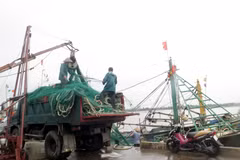 Ngư dân thị trấn Thịnh Long, huyện Hải Hậu, tỉnh Nam Định thu dọn ngư cụ về tránh bão. (Ảnh: Văn Đạt/TTXVN)