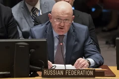 Đại sứ Nga tại Liên hợp quốc Vassily Nebenzia phát biểu trong phiên họp công khai của Hội đồng Bảo an về tình hình Syria, ngày 9/4. (Nguồn: AFP)