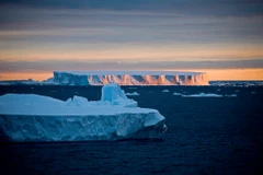 Ảnh minh họa. (Nguồn: Getty Images)