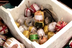 Thanh Hóa phát hiện xe taxi chở 30 kg thỏi thuốc nổ và kíp nổ 