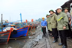 Bộ trưởng Bộ Nông nghiệp và Phát triển nông thôn, Trưởng Ban Chỉ đạo Trung ương về Phòng chống thiên tai Nguyễn Xuân Cường kiểm tra công tác phòng chống bão số 4 tại bến cá Ngọc Hải, Khu 1 Đồ Sơn, quận Đồ Sơn. (Ảnh: An Đăng/TTXVN)