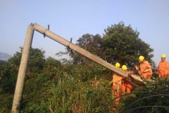 Công nhân Công ty Điện lực tỉnh Điện Biên nỗ lực khắc phục sự cố trong chiều ngày 3/4. (Ảnh: Xuân Tiến/TTXVN)