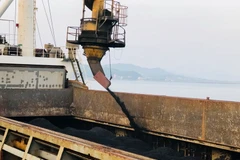 Bốc rót tấn than đầu tiên của năm Mậu Tuất 2018. (Ảnh: Văn Đức/TTXVN)