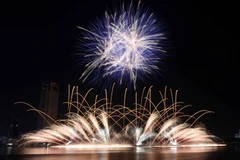 Màn trình diễn pháo hoa của đội Italy tại DIFF 2017. (Ảnh: Trần Lê Lâm/TTXVN)