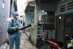 Ảnh minh họa. (Nguồn: TTXVN)