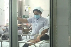 Bệnh nhân nhiễm cúm A/H1N1 nguy kịch đang được cách ly điều trị tại Bệnh viện Chợ Rẫy. (Ảnh: Đinh Hằng/TTXVN)