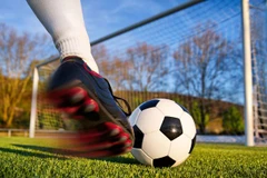 Thi đấu thế thao gắn kết cộng đồng người Việt tại Liên bang Nga