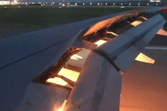 Lửa cháy khu vực động cơ máy bay. (Nguồn: Italaal/Twitter)