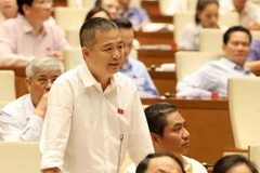 Đại biểu Quốc hội tỉnh An Giang Nguyễn Lân Hiếu phát biểu. (Ảnh: Phương Hoa/TTXVN)