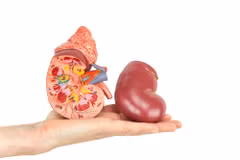 Yêu cầu xác minh tin “Cò buôn thận tung hoành ở bệnh viện Sài Gòn” 