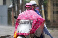 Ảnh chỉ có tính minh họa. (Ảnh: Lê Minh Sơn/Vietnam+)