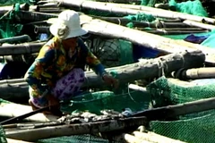 Ảnh chỉ có tính minh họa. (Ảnh: Thế Lập/TTXVN)