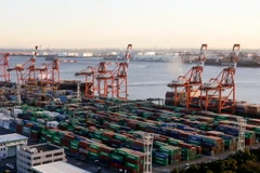 Vận chuyển hàng hóa tại cảng quốc tế Aomi ở Tokyo. (Nguồn: EPA/TTXVN)