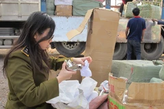 Lực lượng Quản lý thị trường Hà Nội kiểm tra hàng hóa tại các kho, bãi, bến xe. (Ảnh: Đức Duy/Vietnam+)