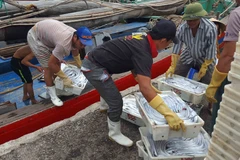 Ảnh chỉ mang tính minh họa. (Nguồn: TTXVN)