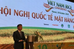 Thứ trưởng Đỗ Thắng Hải phát biểu tại Hội nghị quốc tế mặt hàng gạo Việt Nam tổ chức tại Hà Nội. (Ảnh: Đức Duy/Vietnam+)