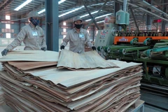 Ảnh chỉ mang tính minh họa. (Nguồn: TTXVN)