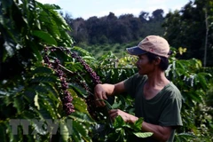 Đại biểu quốc hội lo chính sách cho đồng bào dân tộc còn 'chắp vá' 