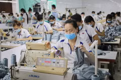 Ảnh minh họa. (Nguồn: TTXVN)