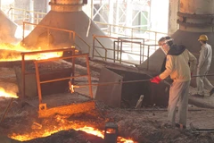 Ảnh chỉ mang tính minh họa. (Nguồn: Đức Duy/Vietnam+)